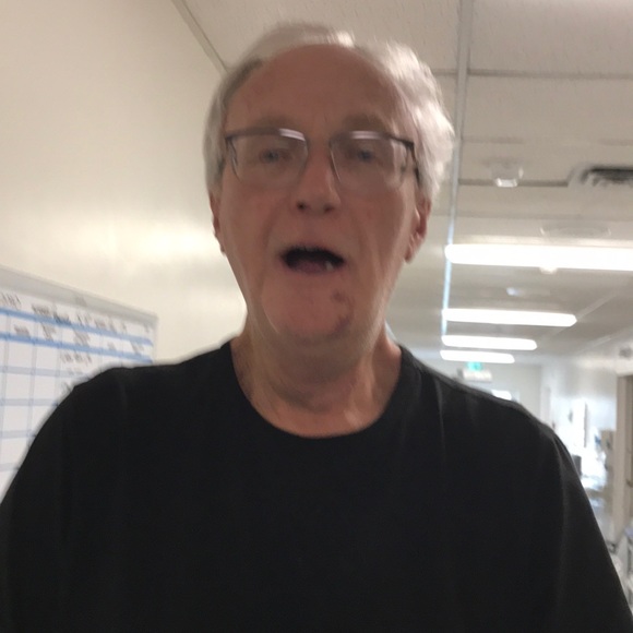 Meet your Posher, Dixie - Picture 1 of 1